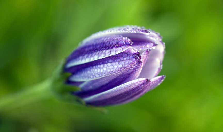 Emotions are Stored Energy